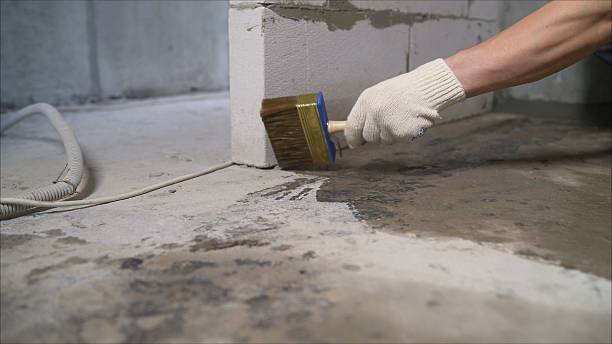 SJ Waterproofing Pros Waterproofing coverage map for Dickson, TN and surrounding area